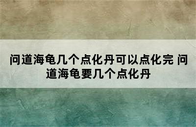 问道海龟几个点化丹可以点化完 问道海龟要几个点化丹